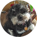 Sheri W. profile picture